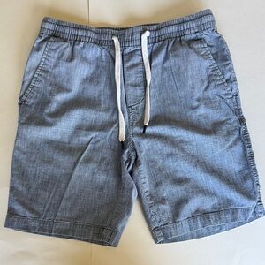Banana Republic Mens Blue Shorts